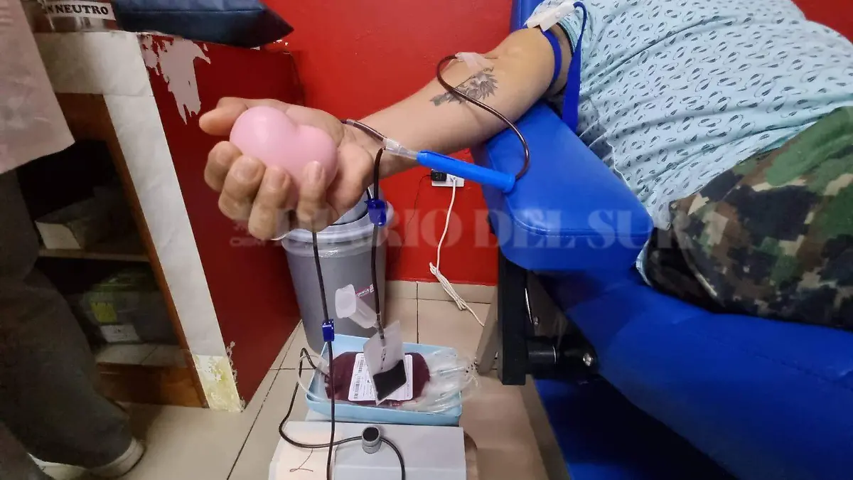 Donación de sangre2